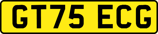 GT75ECG