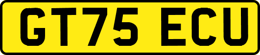 GT75ECU
