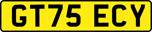 GT75ECY