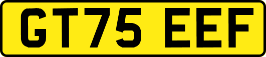 GT75EEF