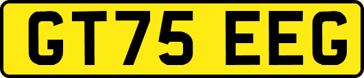 GT75EEG