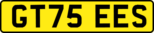 GT75EES