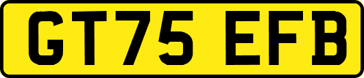 GT75EFB