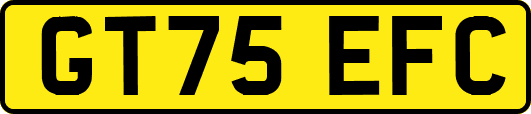 GT75EFC