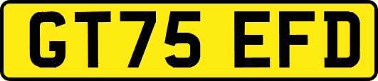 GT75EFD