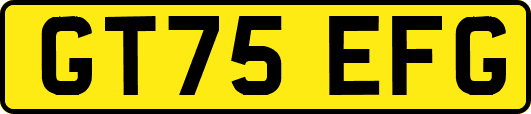 GT75EFG