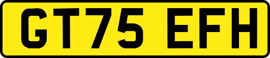 GT75EFH