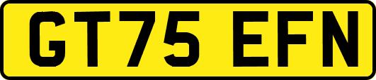 GT75EFN