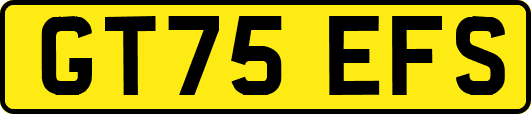 GT75EFS