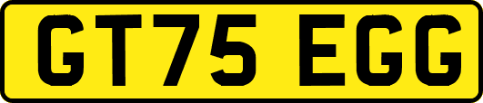 GT75EGG
