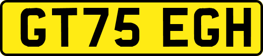 GT75EGH