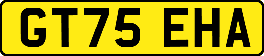 GT75EHA
