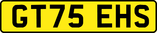 GT75EHS