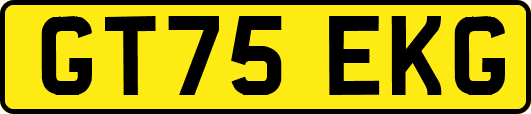 GT75EKG
