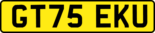 GT75EKU