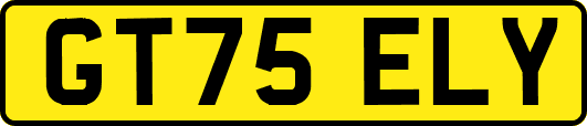 GT75ELY