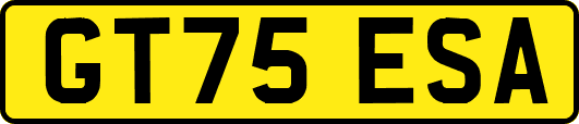 GT75ESA