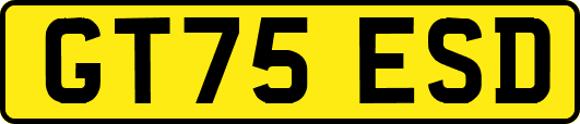 GT75ESD