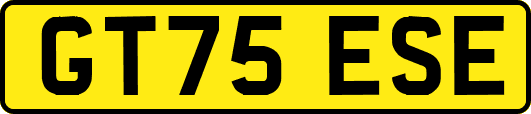 GT75ESE