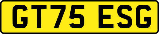 GT75ESG