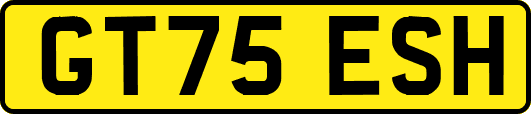 GT75ESH