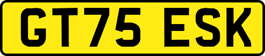 GT75ESK
