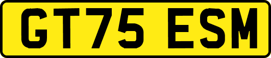 GT75ESM