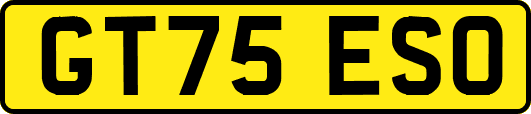 GT75ESO