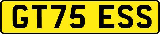 GT75ESS