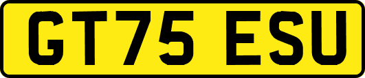 GT75ESU