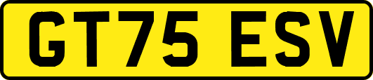GT75ESV