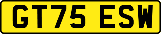 GT75ESW