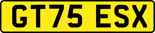 GT75ESX