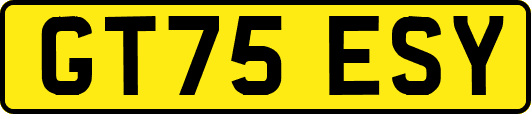 GT75ESY