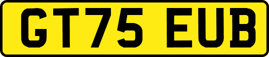 GT75EUB