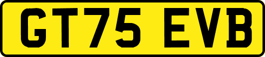 GT75EVB