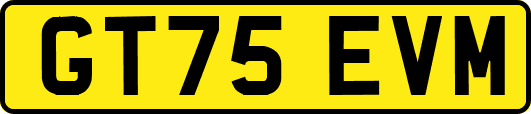 GT75EVM