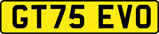 GT75EVO
