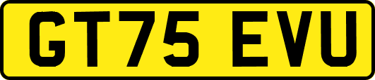 GT75EVU