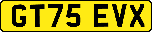 GT75EVX