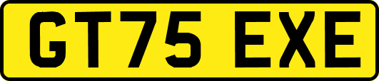 GT75EXE