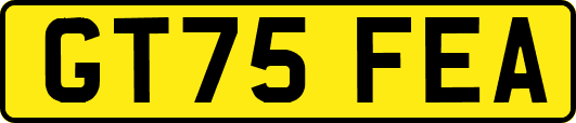 GT75FEA