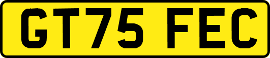 GT75FEC
