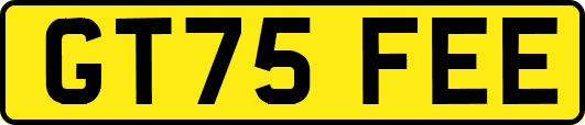 GT75FEE