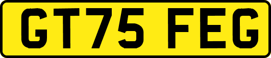 GT75FEG
