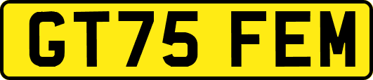 GT75FEM