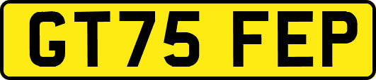 GT75FEP