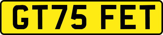 GT75FET