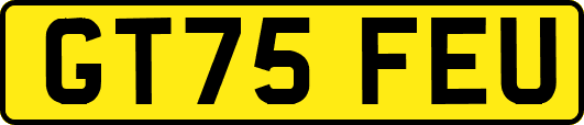 GT75FEU