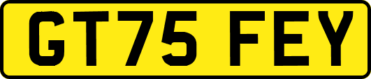 GT75FEY